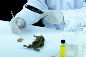 Read more about the article The Hidden Dangers of Long-Term Marijuana Use